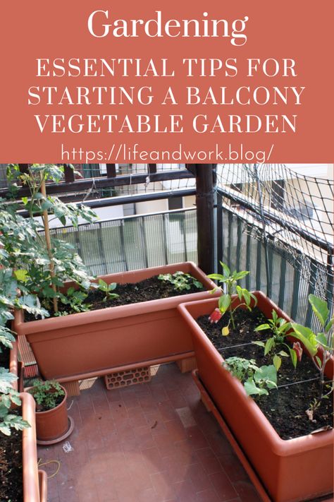 Essential Tips For Starting a Balcony Vegetable Garden Balcony Veggie Garden Ideas, Balcony Gardening Vegetable, Apartment Balcony Vegetable Garden, Apartment Vegetable Garden Balconies, Balcony Veggie Garden, Balcony Vegetable Garden Ideas, Porch Vegetable Garden, Tiny Balcony Garden, Apartment Homestead