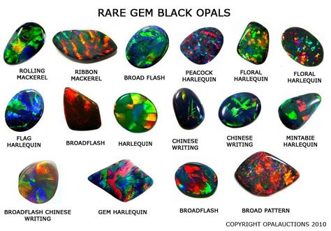 Black Opal Rare Patterns – from opalauctions.com Goblin Brain, Crystal Illustration, Black Pinterest, Australian Black Opal, Types Of Opals, Winter Boho, Summer Street, Spring Jewelry, Rare Gems