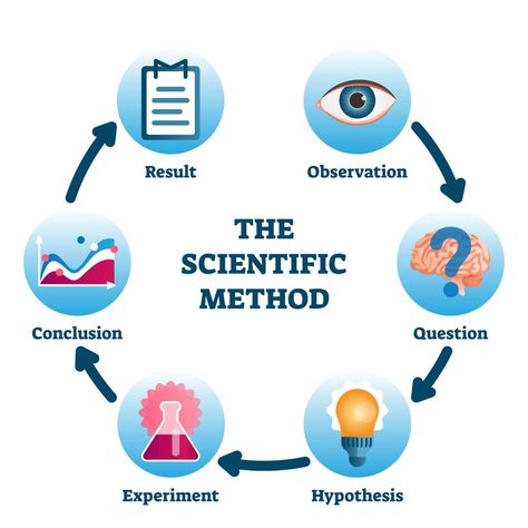 The steps to the scientific method! #learning #scietificmethod #science #idt3600 Scientific Method Steps, Science Inquiry, Science Equipment, The Scientific Method, Experimental Design, Perfect Circle, Diagram Design, Science Fair Projects, Scientific Method