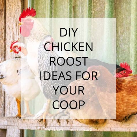 Chicken Perch Ideas Perch For Chickens, Chicken Perch Ideas, Chicken Perch, Building A Chicken Run, Chicken Perches, Chicken Roost, Raising Chicks, Raising Backyard Chickens, Egg Production