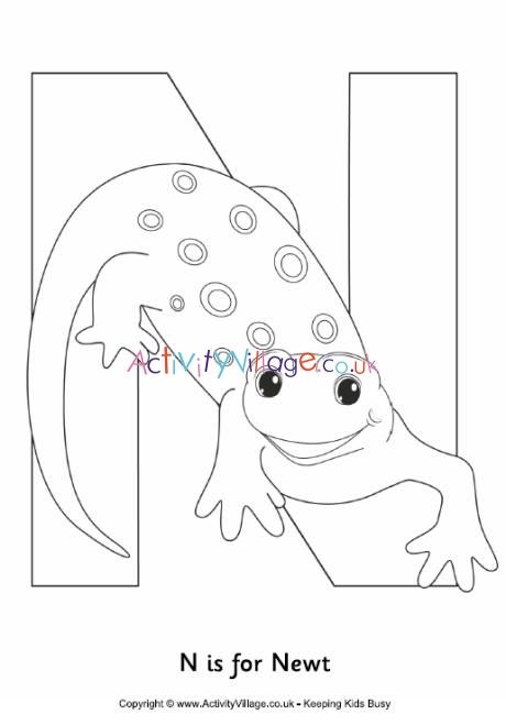 N is for newt colouring page Animal Letter Coloring Pages, 3s Preschool, Scientific Method Elementary, Aa Letter, Colouring In Pages, Letter A Coloring Pages, The Letter N, Happy Birthday Coloring Pages, Keeping Kids Busy