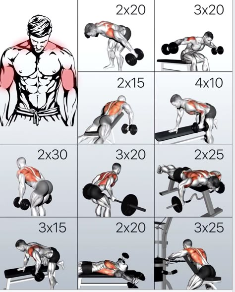 Back Training At Home, Back Workout Home, Gym Workout Apps, Back And Shoulder Workout, Workout Gym Routine, Workout Program Gym, Bodybuilding Workouts Routines, Best Gym Workout, Gym Workout Planner