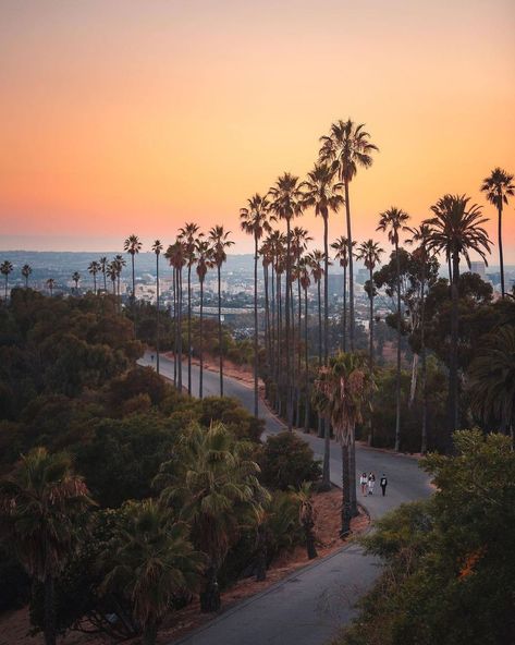 Discover Los Angeles on Instagram: “We ❤️ you Los Angeles. #discoverla #holiday #magichour 📸: @throughcarmenslens” Los Angeles Nature, Los Angeles Mountains, Sunset In Los Angeles, Los Angeles Sunset, Sunset Boulevard Los Angeles, Pacific Coast Highway Road Trip, Los Angeles Parks, Manhattan Beach, California Usa