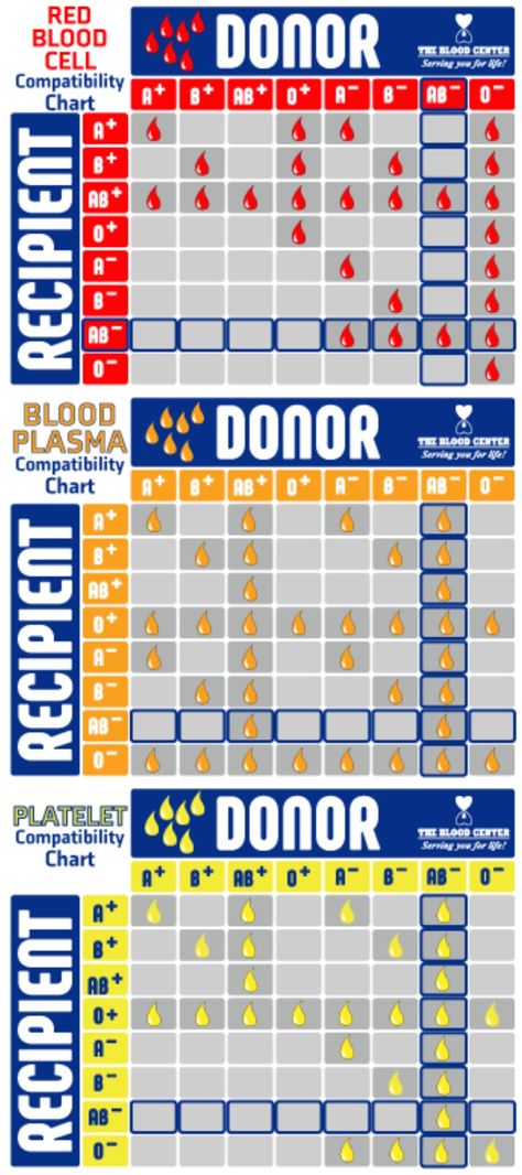 Blood bank and transfusion: Donors and recipients compatibility charts Transfusion Medicine, Blood Plasma, Blood Groups, Blood Bank, Blood Donor, Compatibility Chart, Labor, Nursing, Medicine