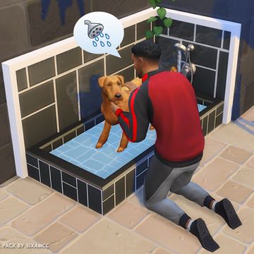 Sims 4 Squishmallow, Sims 4 Dog Bath, Sims 4 Cc Pets Clothes Patreon, Sims 4 Cc Cats And Dogs Patreon, Sims 4 Cc Dog Bed Patreon, Sims 4 Pets Patreon, Sims 4 Cc Dog Stuff Patreon, Sims 4 Cc Cats And Dogs Furniture, Animals Sims 4 Cc