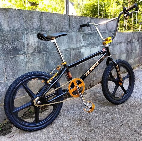 Pk Ripper, Bmx Cruiser, Best Bmx, Vintage Bmx Bikes, Corso Dog, Bmx Racing, Bicycle Mountain Bike, Cafe Bike, Bmx Bicycle