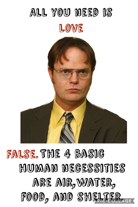 The Office Dwight Valentine Card Dwight Memes Hilarious, The Office Valentines Day Cards, The Office Wedding Quotes, The Office Love Quotes, The Office Quotes Dwight, The Office Valentines, The Office Quotes, The Office Dwight, Free Poster Printables