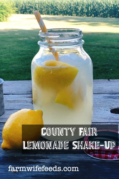 Homemade Lemon Shakeups, How To Make Fresh Squeezed Lemonade, Lemon Shake Ups, Countrytime Lemonade Recipe, Shake Up Lemonade, Lemon Shakeup Recipe, Farmers Market Lemonade, How To Make Fair Lemonade, Lemon Shake Up Recipe Fair