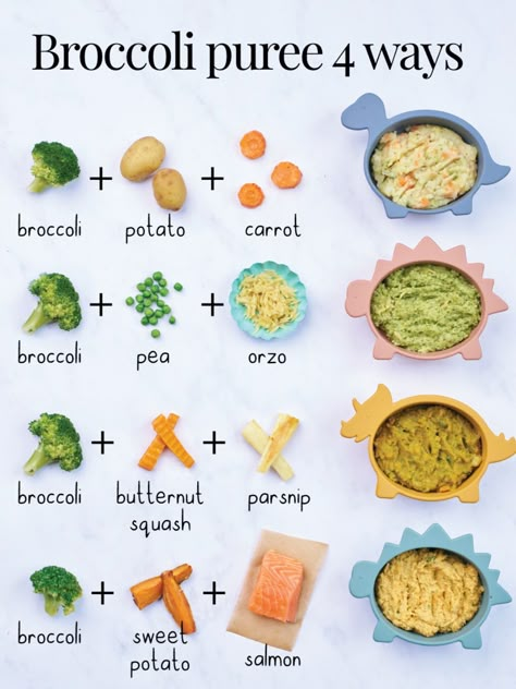 Broccoli is a true superfood for babies!  Here are four easy recipes for your little one!  Did you know that it provides a little bit of almost every nutrient you need?  It contains powerful antioxidants to help build and strengthen the immune system and is a great source of vitamins and minerals such as folate, iron, potassium, vitamin K and vitamin C which aids iron absorption.⁠ Stage 3 Puree Recipes, Baby Food Recipes 4-6, Baby Fruit Puree, Puree Baby Food Recipes 6 Months, Purred Foods Baby, Broccoli Puree Recipes, Broccoli Puree Baby, Purees For 6 Month Old, Home Made Baby Food 4-6 Months