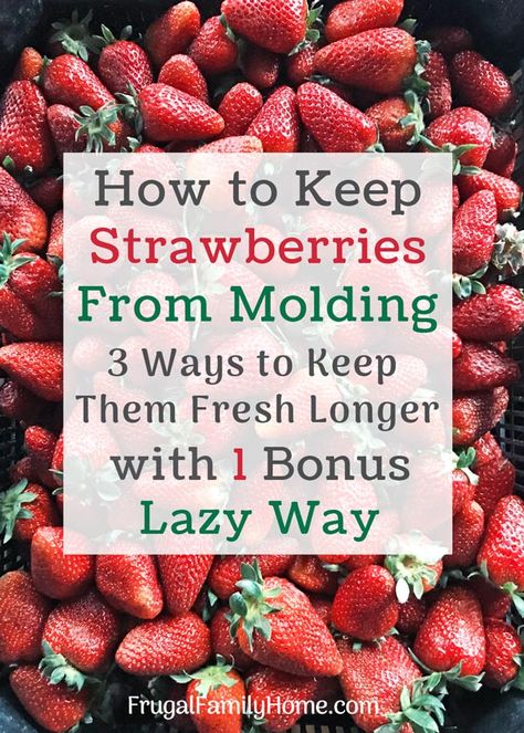 Keep Strawberries Fresh, Store Strawberries, How To Store Strawberries, Storing Fruit, Storing Vegetables, Fruit And Vegetable Storage, Fruit Storage, Food Info, Food Facts