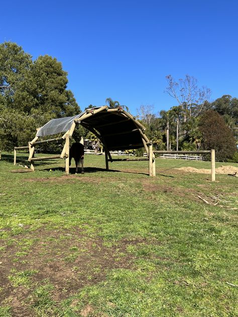 Small Paddock, Paddock Paradise Ideas, Custom Horse Stalls, Paddock Trail, Paddock Paradise, Horse Ideas, Horse Stable, Dream Barn, Custom Horse