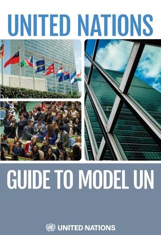 International Lawyer, Model United Nations, Swiss Bank, Healthy Foods To Make, United Nations Security Council, Career Vision Board, United Nations General Assembly, Research Skills, Education Level