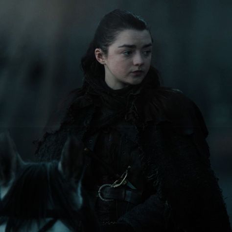 Game Of Thrones Icons, Arya Stark Aesthetic, Game Of Thrones Ghost, Ayra Stark, Emma Stone Blonde, Winter Is Coming Stark, Stark Aesthetic, Game Of Thrones Arya, A Dance With Dragons