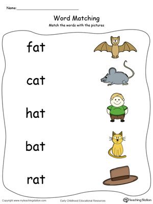 AT Word Family Picture and Word Match in Color. Identifying words ending in  –AT by matching the words with each picture. At Words With Pictures, Identify The Picture Worksheet, Match Word With Picture Worksheet, 3 Letter Words With Pictures, At Family, Matching Cvc Words To Pictures, At Words, Two Letter Words For Kids, Word Family Reading