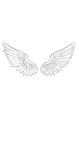 Small Wings Tattoo Men, Simple Wings Tattoo Designs, Angel Wings Line Tattoo, Men’s Wings Tattoo, Shaded Angel Wings Tattoo, Feminine Angel Wings Tattoo, Angel Wings Tattoo Tramp Stamp, Saltburn Tattoo Ideas, Angel Wing Sketch