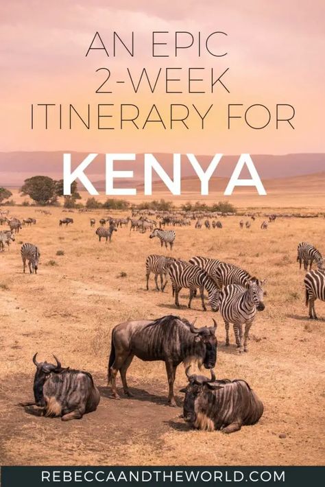 Looking for a Kenya itinerary that covers the best of the country? A local shares his incredible 2 weeks in Kenya travel itinerary so you can plan your own visit to this amazing part of East Africa. #Kenya #KenyaItinerary #EastAfrica Kenya Itinerary, Diani Kenya, Africa Itinerary, Incredible 2, Solo Traveling, Africa Kenya, Mombasa Kenya, Africa Travel Guide, Kenya Travel