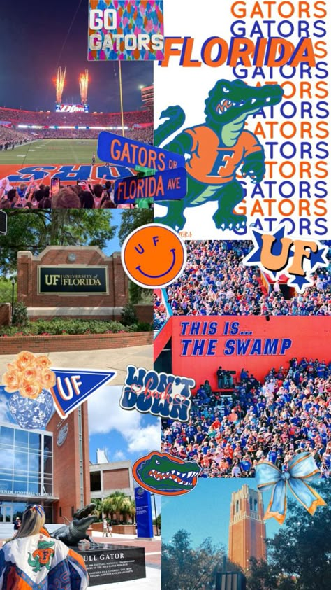 University Of Florida Wallpaper, Uf Wallpapers, Florida Wallpaper, Florida University, College Wallpaper, Florida Baby, 2025 Moodboard, College Vibes, Dream Collage