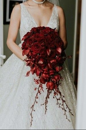 Cascading Bouquet: Red Roses, Black Roses, Red Cymbidium Orchids, Red Calla Lilies, Red Orchid Buds Spider Lily Wedding Bouquet, Red Spider Lily Bouquet, Bouquet Red Roses, Red Rose Bouquet Wedding, Orchid Bridal Bouquets, Orchid Bouquet Wedding, Vampire Wedding, Red Orchid, Dead Bride