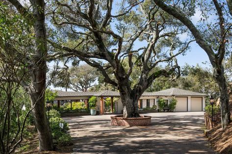 Photo 2 of 11 in High in the Oakland Hills, a Midcentury With Unbeatable Bay Views Lists at a Lofty $2.9M - Dwell Gabion Walls, Oakland Hills, Backyard Structures, Gabion Wall, Game Room Family, Midcentury Home, Circular Driveway, Green Pasture, Timber Cladding