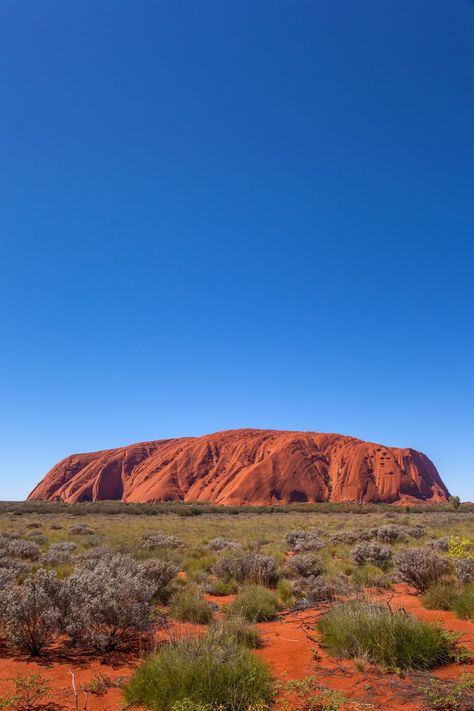 Australia Wallpaper, Kakadu National Park, Venomous Snakes, Best National Parks, Ayers Rock, Australian Travel, Outback Australia, Holiday Vibes, Uk Travel