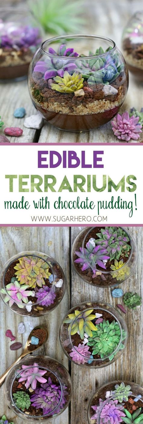 Edible Terrariums - a fun, totally edible dessert that looks just like a terrarium! Made with chocolate pudding, cookie crumbs, and fondant succulents. | From SugarHero.com  #SugarHero #terrarium #succulents #cactus #pudding #edible Chocolate Terrarium, Fondant Succulents, Terraria Cake, Edible Succulents, Succulent Cupcakes, Succulent Cake, Cactus Cake, Pudding Cookies, Cookie Crumbs