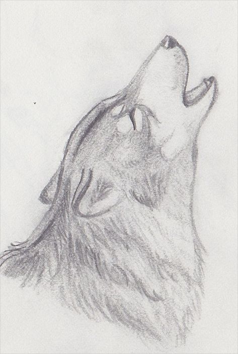 amp-pinterest in action Sketch Moon, Wolf Drawing Easy, Wolf Drawings, Wolf Sketch, Drawing Hands, Animal Drawings Sketches, Wolf Drawing, Moon Drawing, Drawing Pencil