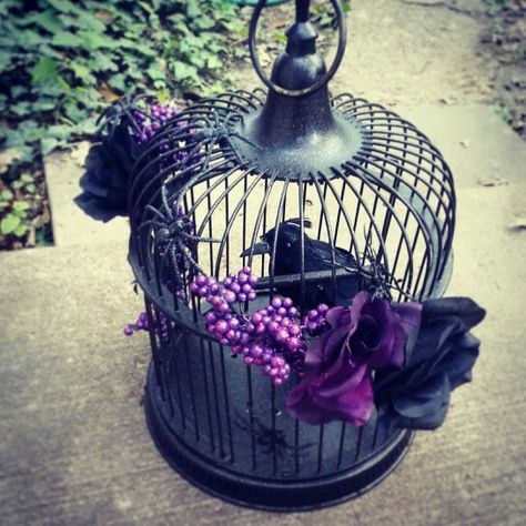 Halloween DIY bird cage Spooky Bird Cage, Birdcage Halloween Decor, Halloween Bird Cage, Halloween Bird Cage Ideas, Goth Graduation, Horror Interior, Gothic Xmas, Diy Bird Cage, Goth Room