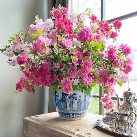 Chelsea Robinson on Instagram: “Azaleas in full bloom 🌸 entering the @charlottemossco flower challenge — my take on a bouquet of a single bloom #cmflowerchallenge…” Azalea Bouquet, Single Flower Bouquet, Charlotte Moss, Azalea Flower, Free Online Jigsaw Puzzles, Floral Inspiration, Single Flower, Jigsaw Puzzle, Birthday Ideas