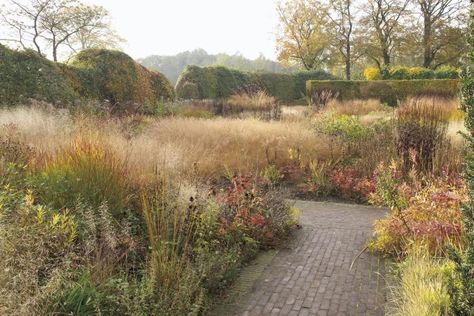 piet oudolf garden path edged with grasses and hardy perennials and woody shrubs via Gardenista Painterly Landscapes, Oudolf Garden, Molinia Caerulea, Future Mansion, Prairie Planting, Dutch Gardens, Piet Oudolf, Perennial Grasses, Prairie Garden