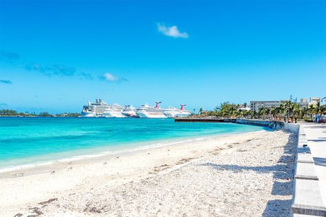 Best Beaches in Nassau for Cruisers: What to Do on a Bahamas Excursion What To Do In Nassau Bahamas, Nassau Bahamas Things To Do Cruises, Nassau Bahamas Things To Do Free, Shopping In Nassau Bahamas, Bahamas Excursions, Best Excursions In Nassau Bahamas, Downtown Nassau Bahamas, Pig Beach, Swimming Pigs