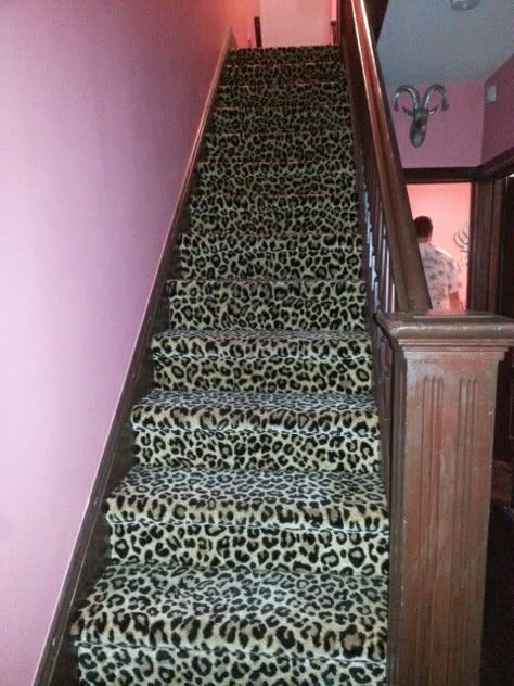 Cheetah carpet and pink walls Y2k Carpet, Cheetah Print Carpet, Leopard Aesthetic Room, Room Ideas Cheetah, Pink Cheetah Print Room, Cheetah Carpet, Leapord Room Aesthetic, 2000s Cheetah Print Wallpaper, Cheetah Print Walls