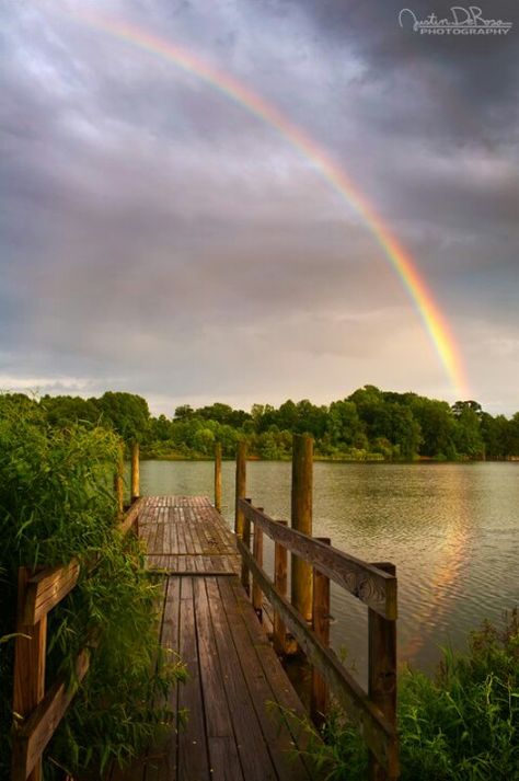 Pennsylvania Nature Lessons, Painting Website, Rainbow Pictures, Rainbow Photography, Elemental Magic, God's Promise, Rainbow Sky, Three Rivers, Love Rainbow