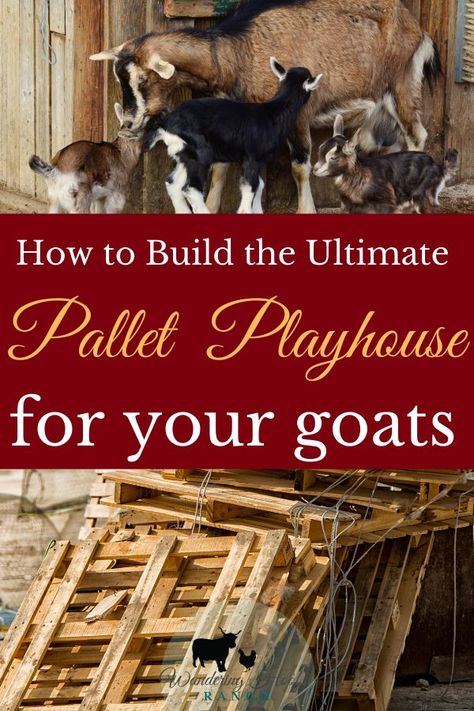 Goat Playhouse, Call Baby, Goat Playground, Goat Shed, Goat Shelter, Playhouse Ideas, Pallet Playhouse, Goat House, Pets Preschool Theme