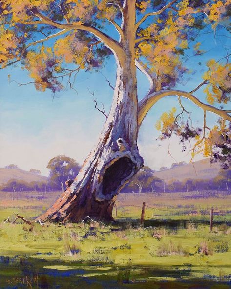 "Australian gum tree Eucalyptus tree landscape oil painting" by Graham Gercken. Oil painting on Canvas, Subject: Landscapes, sea and sky, Impressionistic style, One of a kind artwork, Signed on the front, Ready to hang, Size: 40.64 x 50.8 x 3.81 cm (unframed), 16 x 20 x 1.5 in (unframed), Materials: canvas oil paints palette knife brushes Graham Gercken, Impressionism Landscape, Australia Landscape, Landscape Reference, Old Warrior, Architectural Renderings, Farm Scenes, Painting Trees, Gum Tree