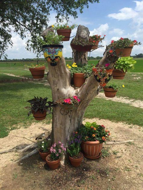 Tree Stump Decor, Gardening Design Diy, Garden Organization, Fall Garden Vegetables, Garden Decor Projects, Fairy Garden Decor, Garden Crafts Diy, Garden Art Crafts, Garden Yard Ideas