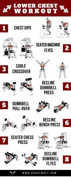 8 Lower Chest Workouts for Defined Pecs - SQUAT WOLF Gym Chest Workout, Chest Day Workout, Chest And Tricep Workout, Chest Workout Women, Chest Workout For Men, Chest Workout Routine, Fitness Studio Training, Latihan Dada, Best Chest Workout