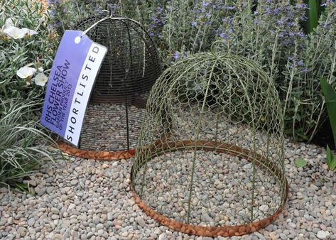 Wire Lampshade, Garden Cloche, Old Lamp Shades, Lamp Shade Frame, Spray Paint Colors, Painted Plant Pots, A Barrier, Garden Lanterns, Old Lamps