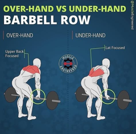 Workout Structure, Bent Over Row, Back Workout Routine, Workout Gym Routine, Barbell Row, Lifestyle Hacks, Gym Workout Planner, Bodybuilding Workout Plan, Gym Workout Chart