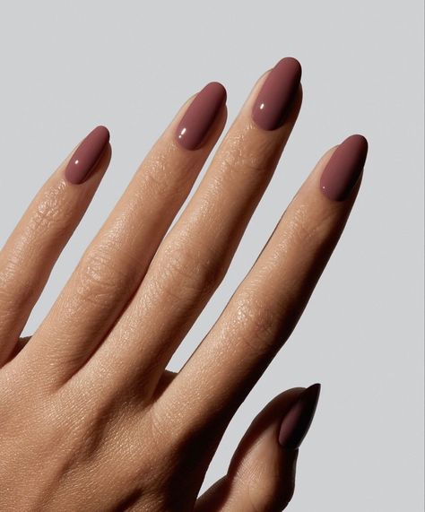 Normal Nail Paint Ideas, Solid Colours Nails, Plain Colour Nails Simple, Back To School Nails Solid Colors, Fall Nails No Chip, Single Nail Colors, Solid Fall Color Nails, Nails Light Skin Tone, Nails Inspiration Solid Color