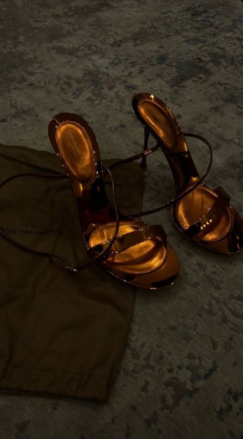 gianvito rossi gold heels Bronze Aesthetic, Pretty Heels, Shoes Heels Classy, Devil Wears Prada, Heels Classy, Girly Shoes, Shoe Inspo, Lifestyle Products, Live Your Best Life