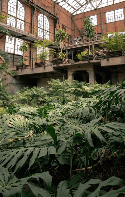 A Hidden Greenhouse Garden in Mexico City Abandoned Factory - Urban Gardens Flower Tunnel, Eco Brutalism, Gardens Photography, Tropical Greenhouses, Victorian Greenhouses, Garden Spheres, Abandoned Factory, Glass Building, Urban Gardens