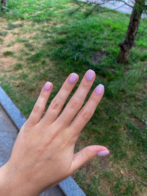 Purple Milky Nails, Milky Purple Nails, Nude Nails Aesthetic, Aesthetic Purple Nails, Nail Design Short Nails, Grass Nail, Nails Milky, Nail Purple, Summer Board