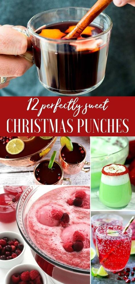 12 Awesome Christmas Punch Recipes to serve up your guest this holiday season. Fun drinks for the kids and even elegant punches to serve at dinner parties! #passion4savings #punch #christmas #holiday #easy #festive Christmas Party Punch, Punch Christmas, Drinks For Kids, Christmas Drinks Alcohol Recipes, Christmas Drinks Alcohol, Dollar Diy, Kids Punch, Recipes For The Whole Family, Christmas Punch Recipes