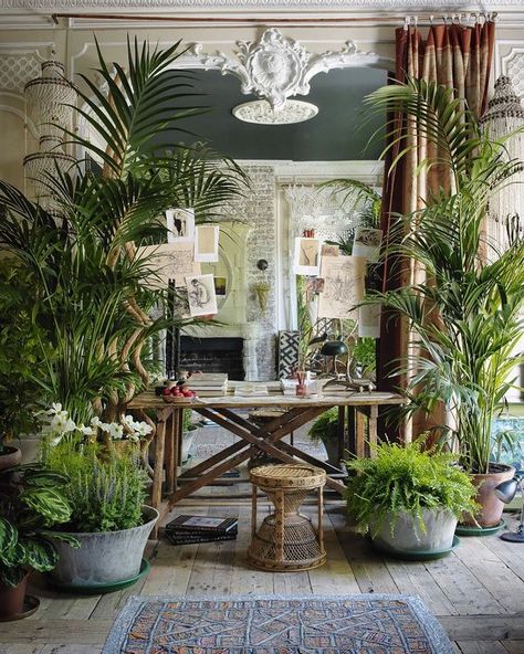 @seraoflondon on Instagram: “The best ideas I’ve had are Drawn on the back of a napkin . . . 📷 @mpaulfoto . . #seraoflondon #seraoflondoninteriors #exquistecushions…” Jungle Decorations, Lots Of Plants, Deco Nature, Indoor Gardens, Deco Boheme, Green Rooms, Boho Home, Bohemian Home, Garden Room