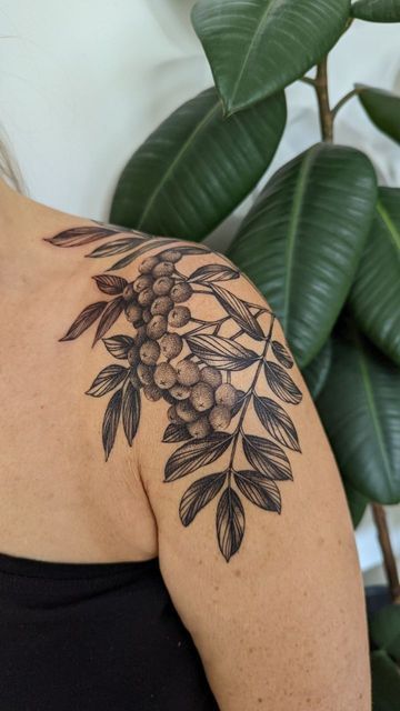 Shoulder Nature Tattoo, Beech Leaf Tattoo, Botanical Shoulder Cap Tattoo, Nature Shoulder Tattoo, Botanical Shoulder Tattoo, Leaf Shoulder Tattoo, Rowan Tree Tattoo, Tree Shoulder Tattoo, Rowan Tattoo