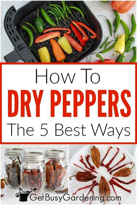 How To Preserve Fresh Hot Peppers, How To Dehydrate Hot Peppers, How To Dehydrate Cayenne Peppers, Drying Cayenne Peppers In Oven, Drying Hot Peppers In The Oven, How To Dehydrate Chili Peppers, How To Dehydrate Peppers In Air Fryer, Dehydrate Chili Peppers, How To Dry Poblano Peppers