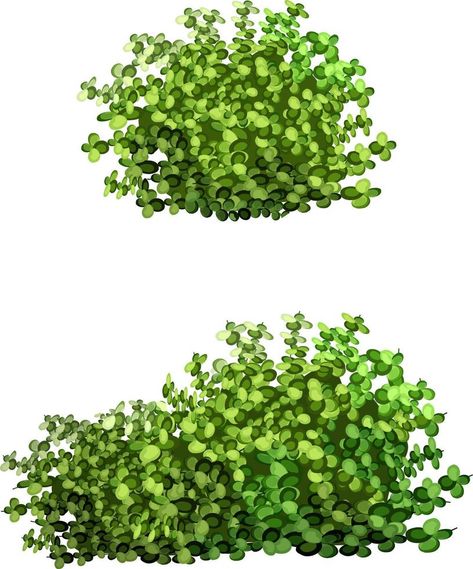 Ornamental green plant in the form of a hedge.Ivy arch.Realistic garden shrub, seasonal bush, boxwood, tree crown bush foliage. Bush Illustration, Nike Photoshoot, Cool Pictures To Draw, Bush Drawing, Tree Crown, Boxwood Tree, Evergreen Bush, Gacha Backgrounds, Garden Shrubs