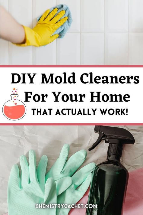 Are you wanting a homemade solution for mold or mildew? We have the best DIY options that actually work based on science. Plus we answer things like does vinegar really kill mold? Peroxide? Baking soda? We have all the answers on Chemistry Cachet Homemade Bathroom Cleaner, Kill Mold, Pumpkin Spray, Toilet Cleaning Hacks, Vinegar Cleaner, Mildew Remover, Cleaning Mold, Cleaner Recipes, Tea Diy