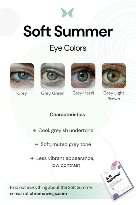 Soft summer eye colors with their characteristics Soft Summer Eye Color, Soft Summer Makeup Palette, Soft Summer Eyes, Makeup For Soft Summer, Soft Summer Examples, Cool Summer Color Palette Makeup, Soft Summer Blush, Soft Summer Color Palette Makeup, Soft Summer Celebrities