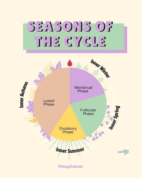 Menstrual Cycle Seasons, Inner Seasons, Cycle Care, Ovulatory Phase, Menstrual Phase, Follicular Phase, Period Cycle, Luteal Phase, Pie Graph